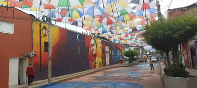 La Virginia - Photo 2