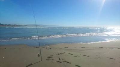 Waikuku Beach - Photo 3