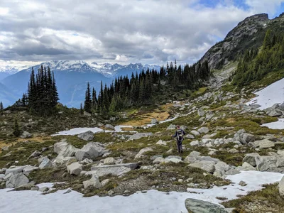 Area C (Pemberton Valley/Mount Currie/D'Arcy) - Photo 2