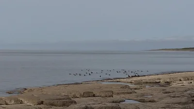 Port au Choix - Photo 3