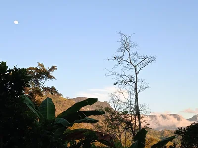 Tena - Photo 2