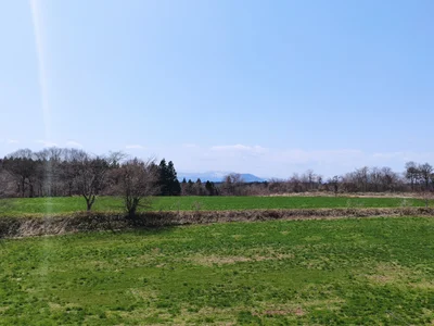 Kami - Photo 3