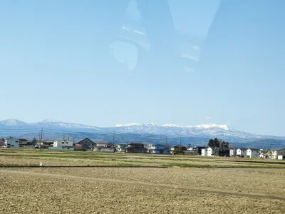 Kami - Photo 4