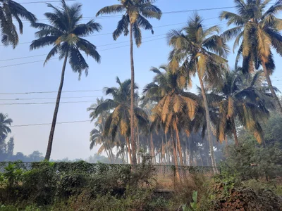 Nagaon - Photo 2