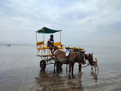 Nagaon - Photo 3