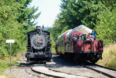 Chehalis - Photo 4