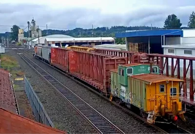 Chehalis - Photo 5
