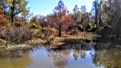Morrilton - Photo 3