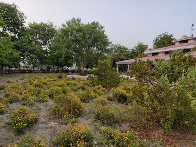 Kayavarohan - Photo 2