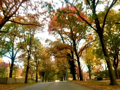 Prairie Village - Photo 2