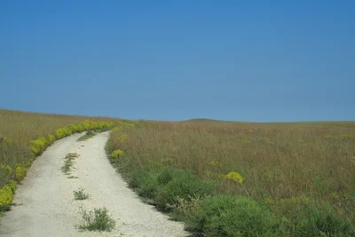 Prairie Village - Photo 5