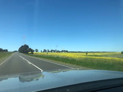 Lismore - Photo 4