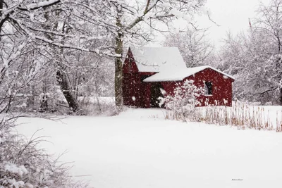 Hollis - Photo 4