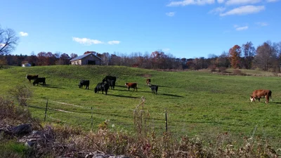 Hollis - Photo 5