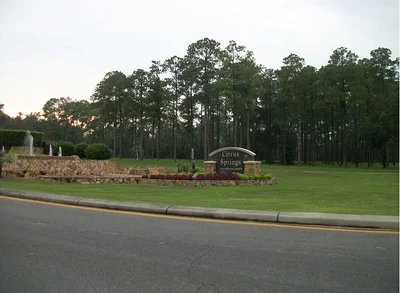 Citrus Springs - Photo 2