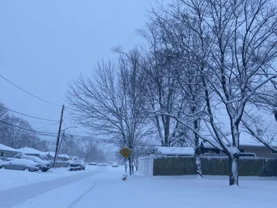 Ronkonkoma - Photo 2