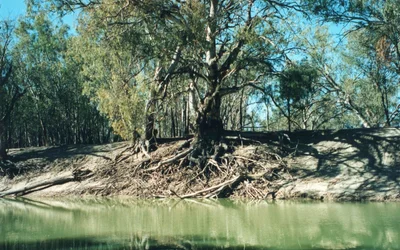 Pooncarie - Photo 5