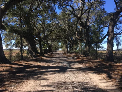 St. Martinville - Photo 2