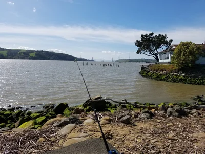 Benicia - Photo 3