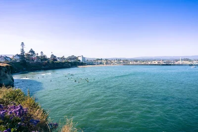 Santa Cruz - Photo 5