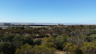 Lake Grace - Photo 2
