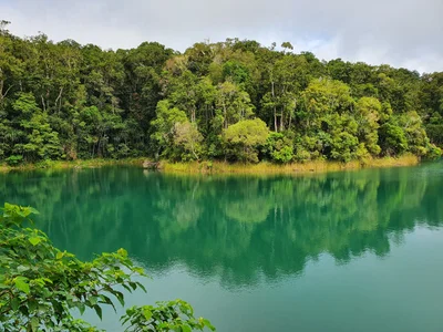 Lake Eacham - Photo 3