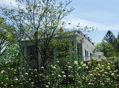 Tenafly - Photo 2