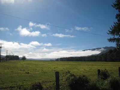 Springs Junction - Photo 4