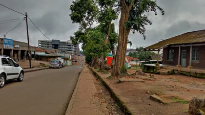 Limbe - Photo 3