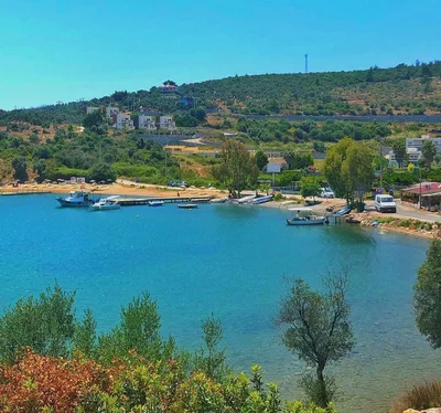 Milas - Photo 3