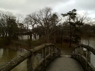 Nanae - Photo 5