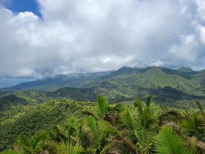 United Nations Biosphere Reserve - Photo 2