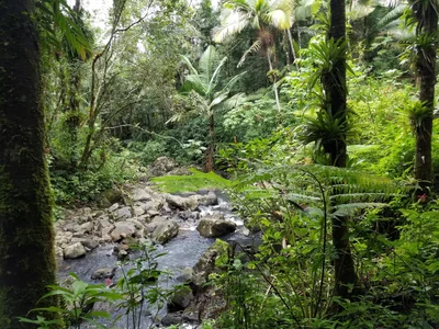 United Nations Biosphere Reserve - Photo 3