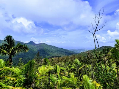 United Nations Biosphere Reserve - Photo 5
