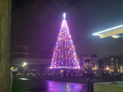 Puyallup - Photo 3
