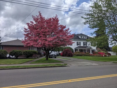 Puyallup - Photo 4