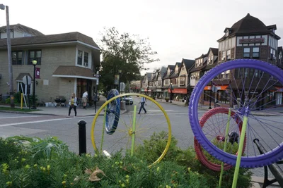Swarthmore - Photo 3
