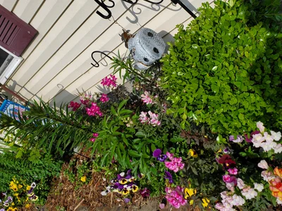 Fort Smith - Photo 2