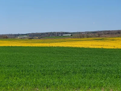 Town of Stewiacke - Photo 2