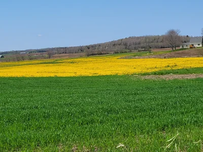 Town of Stewiacke - Photo 3