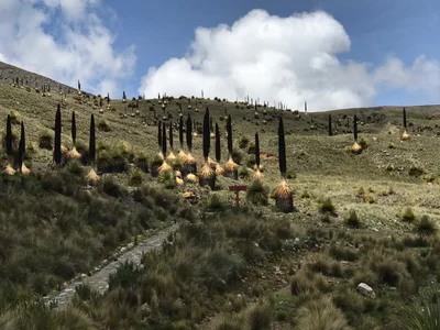 Huascaran National Park - Photo 4