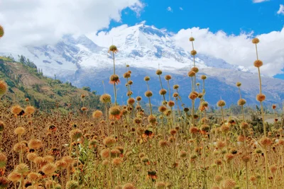 Yungay - Photo 2