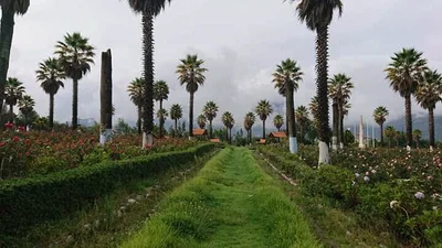 Yungay - Photo 4