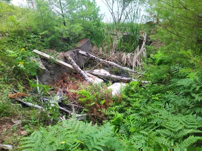 Rideau Lakes - Photo 3
