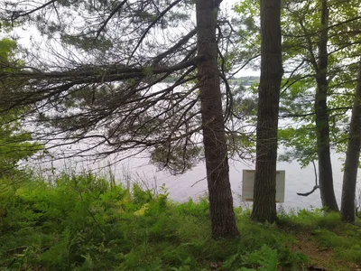 Rideau Lakes - Photo 4