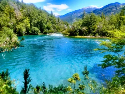 Los Alerces National Park - Photo 3