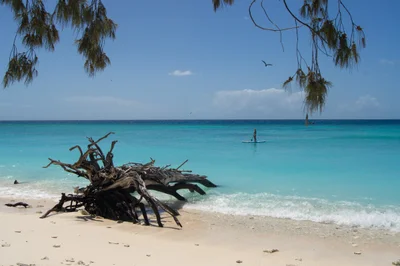 Lady Musgrave Island - Photo 2
