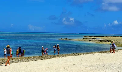 Lady Musgrave Island - Photo 3