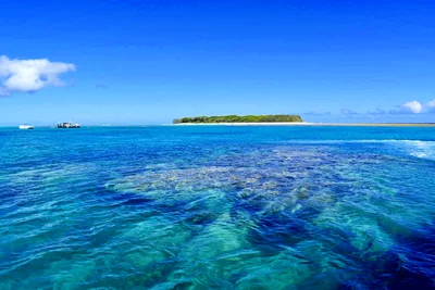 Lady Musgrave Island - Photo 4