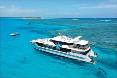 Lady Musgrave Island - Photo 5